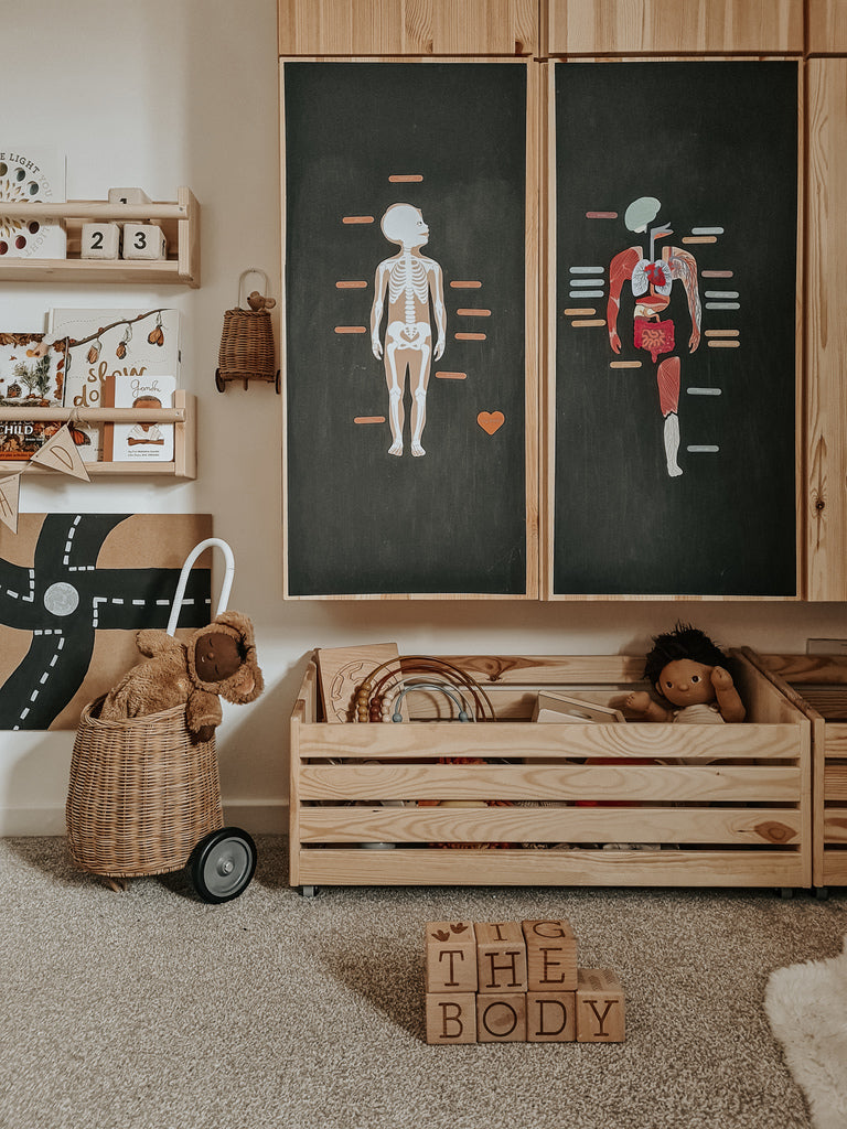 Jeux magnétique - Le Corps Humain