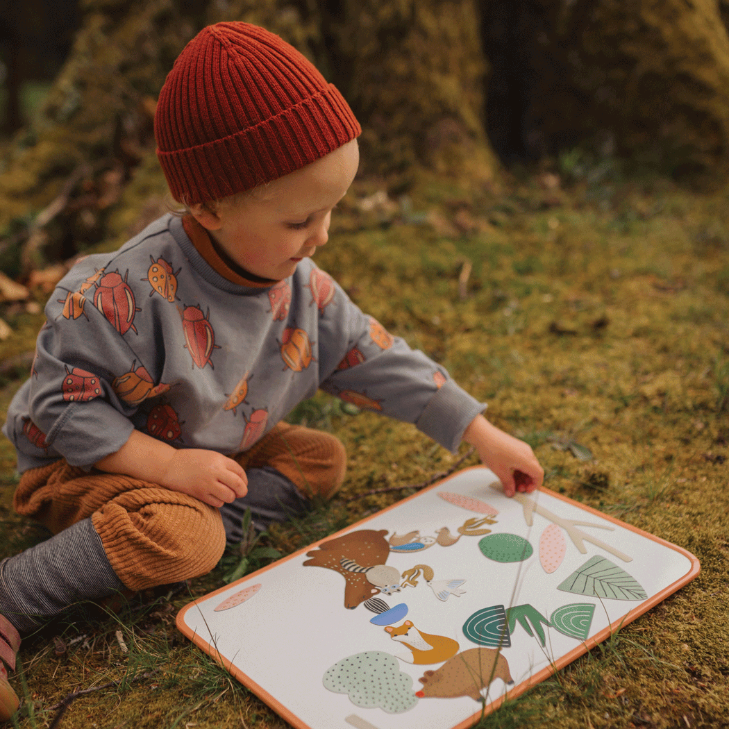 Jeu magnétique - Animaux Forêt