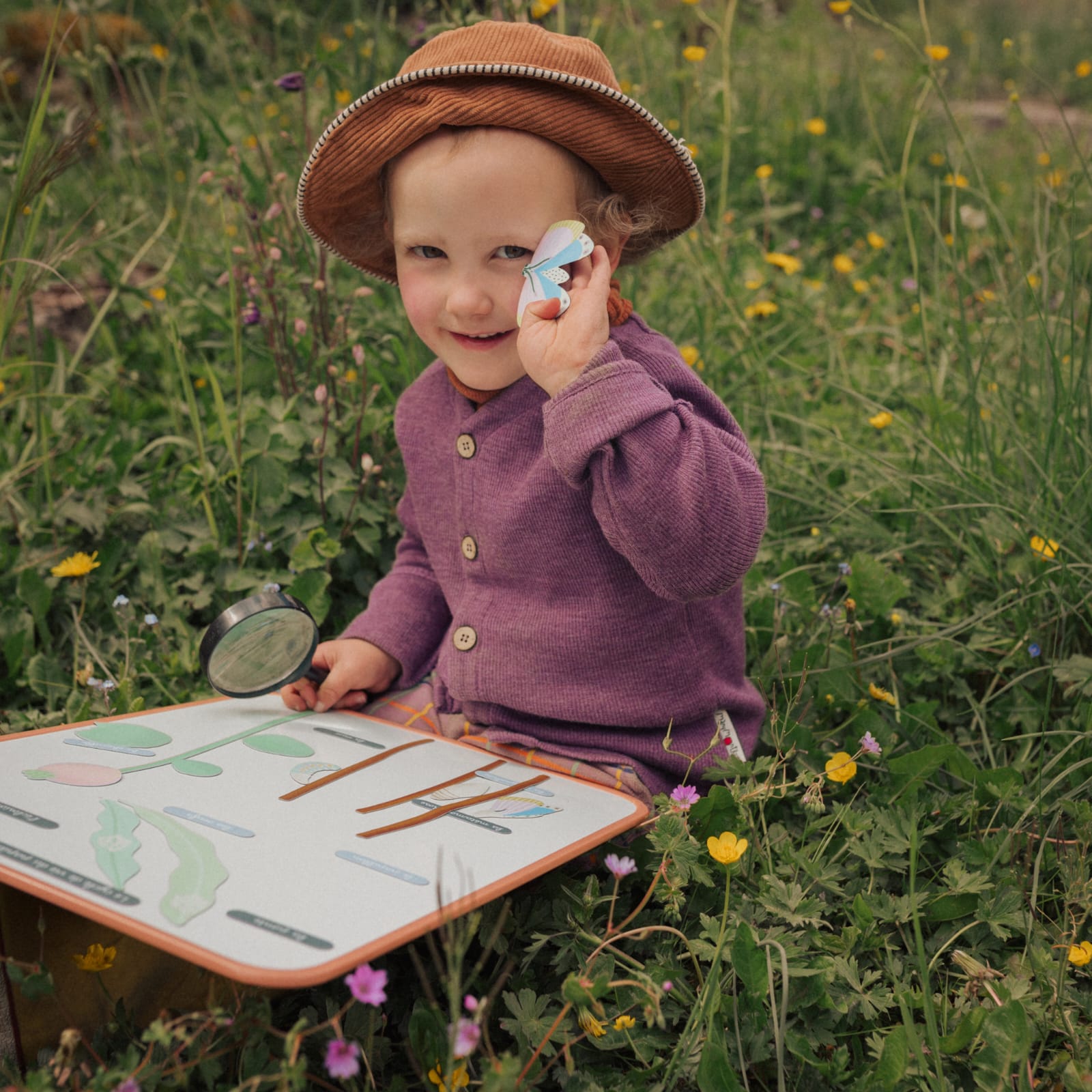 Jeu magnétique - Le Cycle de vie d’un Papillon