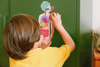 Jeux magnétique - Le Corps Humain