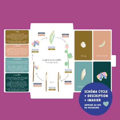 Jeu magnétique - Le Cycle de vie d’un Papillon