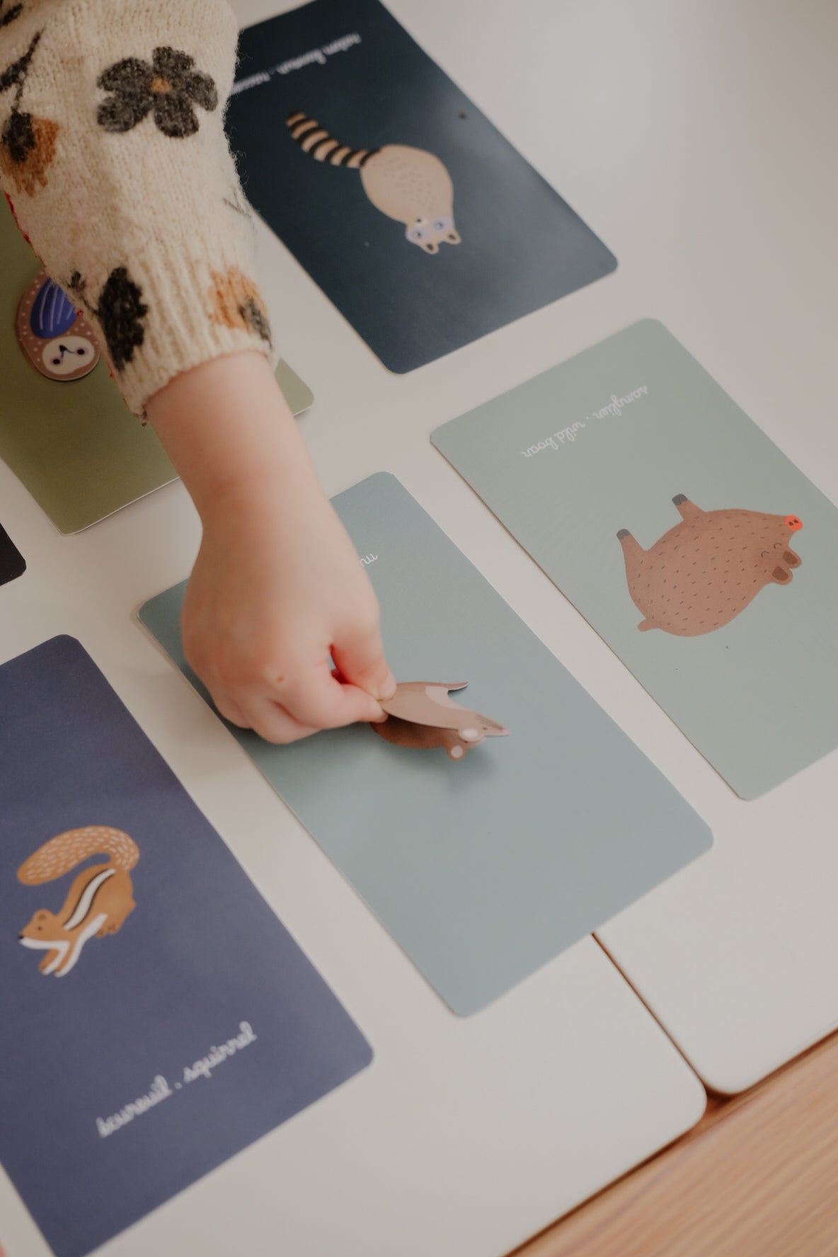 Jeu magnétique - Animaux Forêt