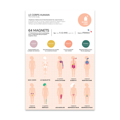 Jeux magnétique - Le Corps Humain