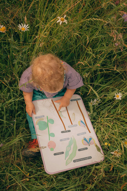 Jeu magnétique - Le Cycle de vie d’un Papillon