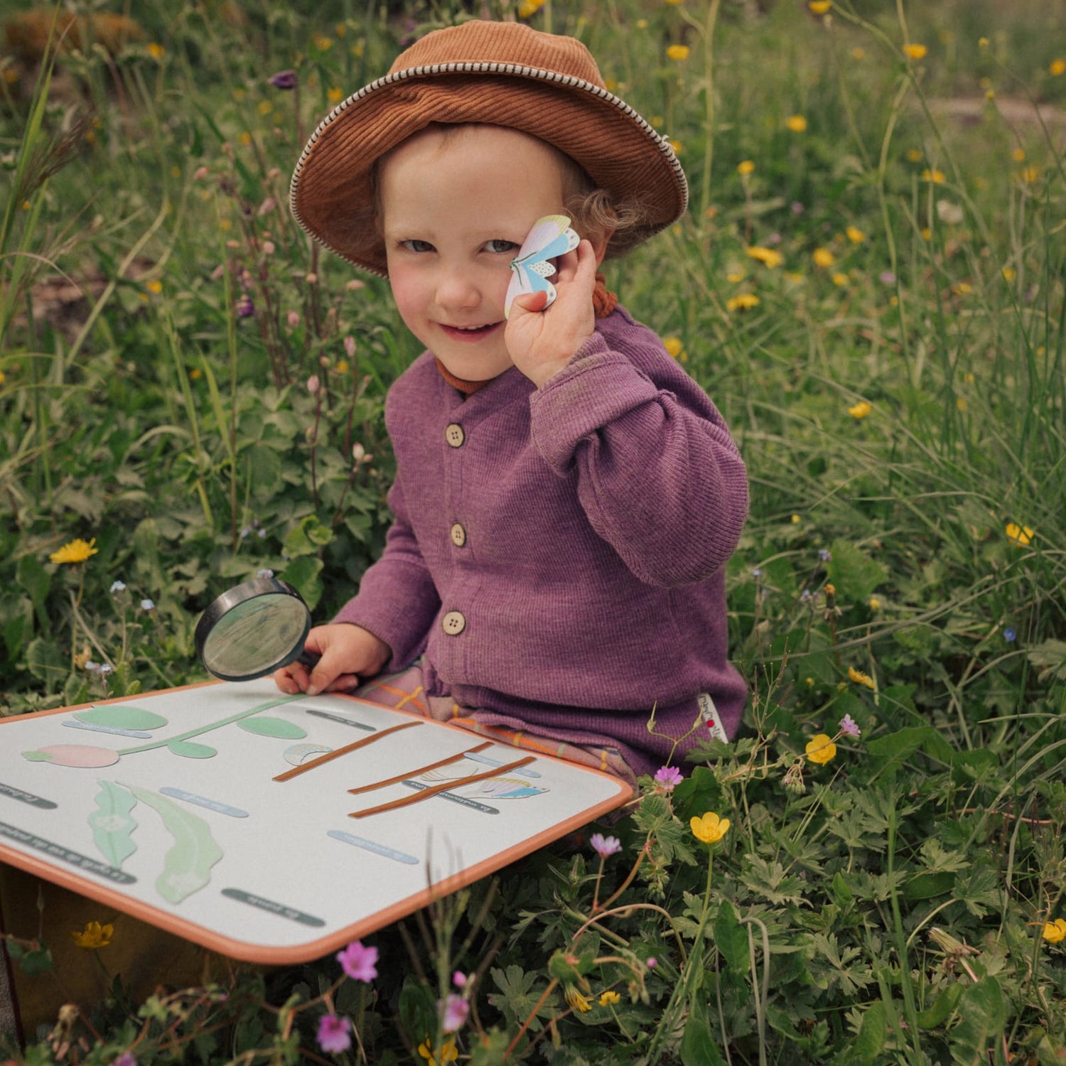 Jeu magnétique - Le Cycle de vie d’un Papillon