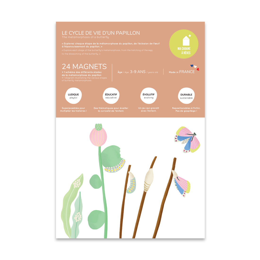 Jeu magnétique - Le Cycle de vie d’un Papillon
