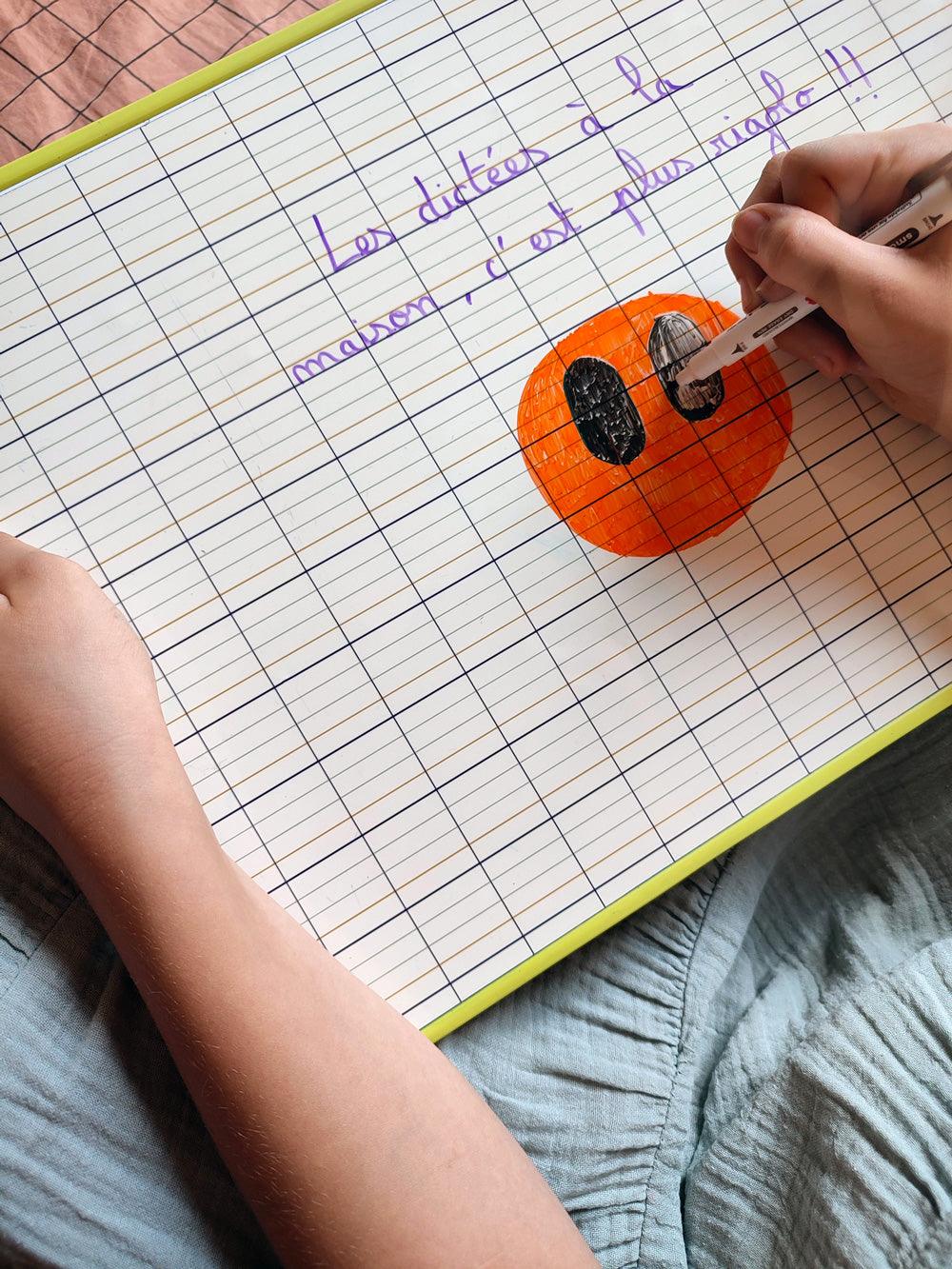 Support d’écriture souple magnétique – Réglure Seyes