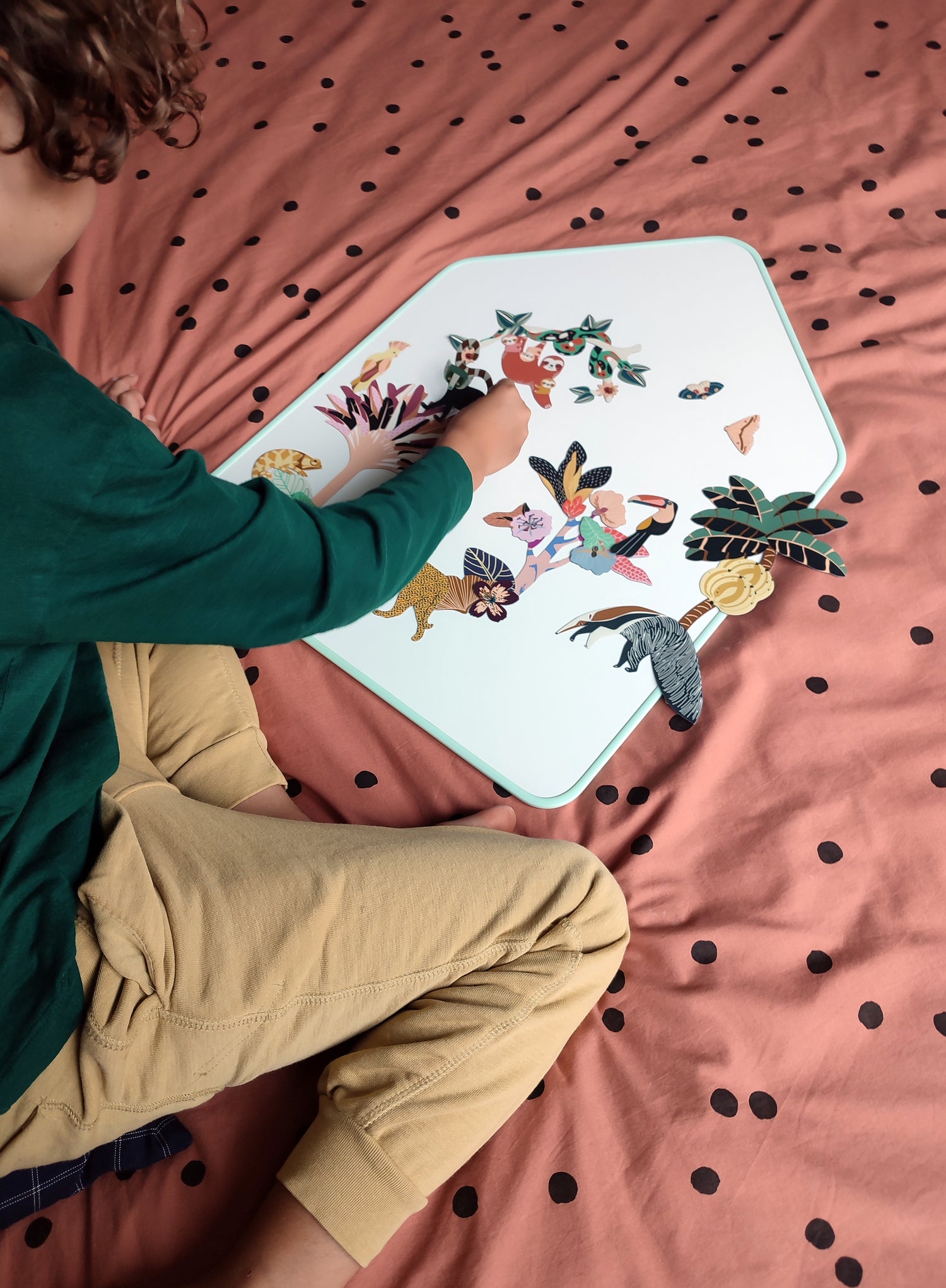 Jeux magnétique - Animaux Jungle