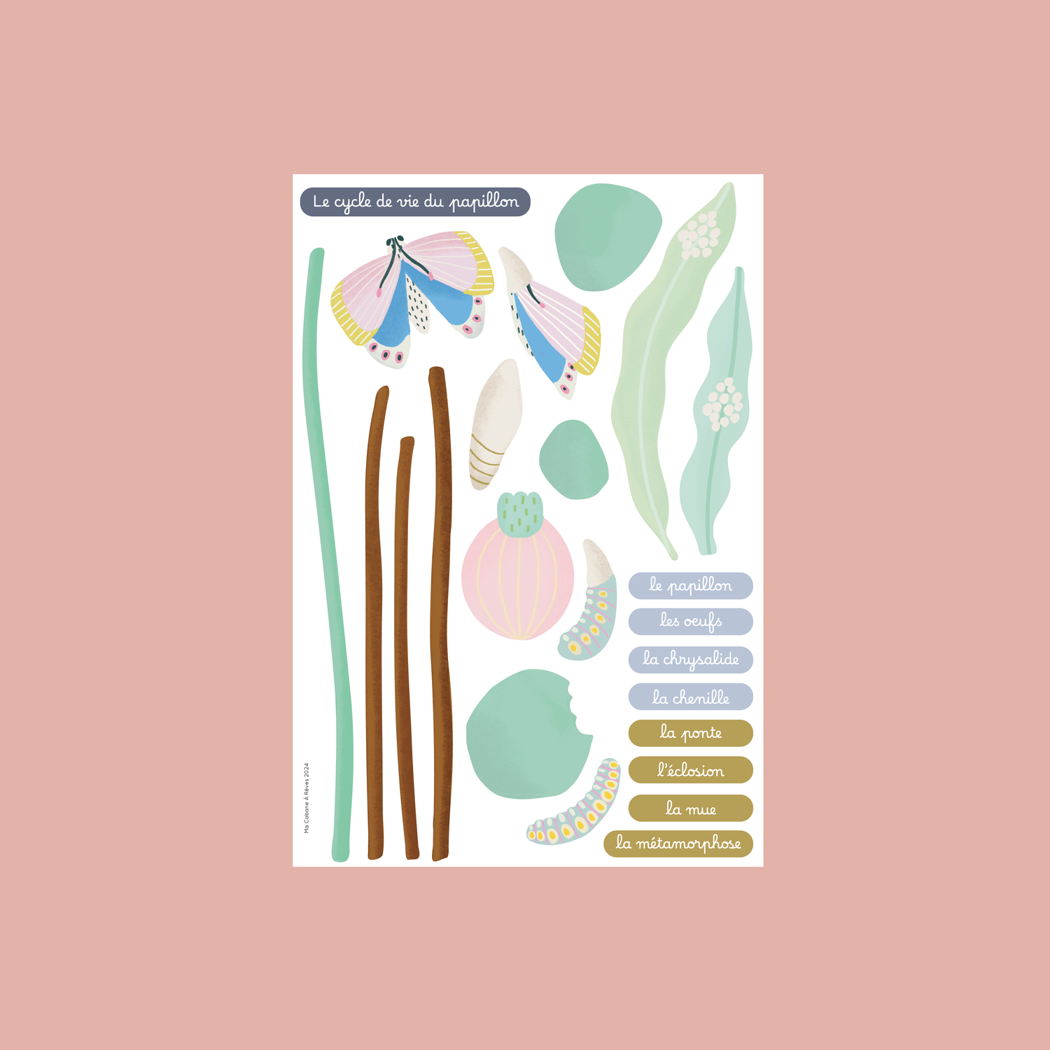 Jeu magnétique - Le Cycle de vie d’un Papillon