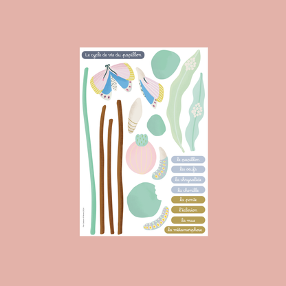 Jeu magnétique - Le Cycle de vie d’un Papillon